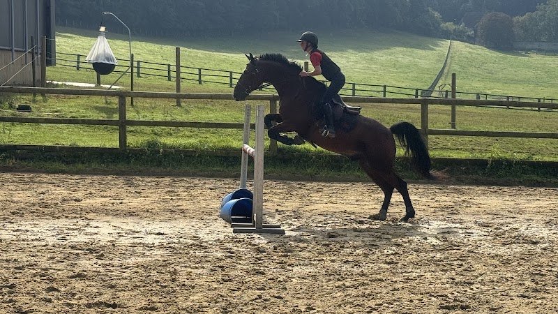 Écurie de saint Arnoult - photo 1