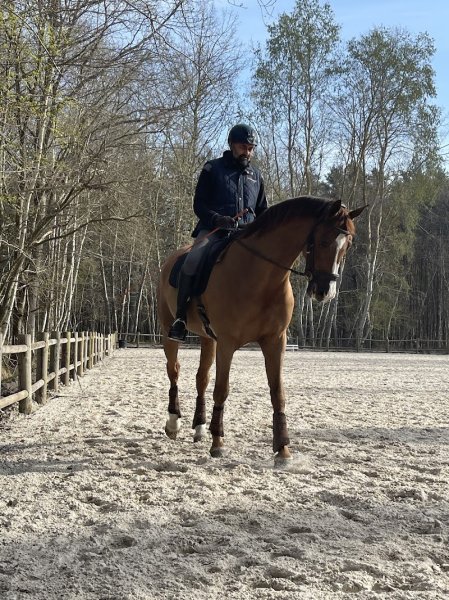 Haras Du Haut Le Vent