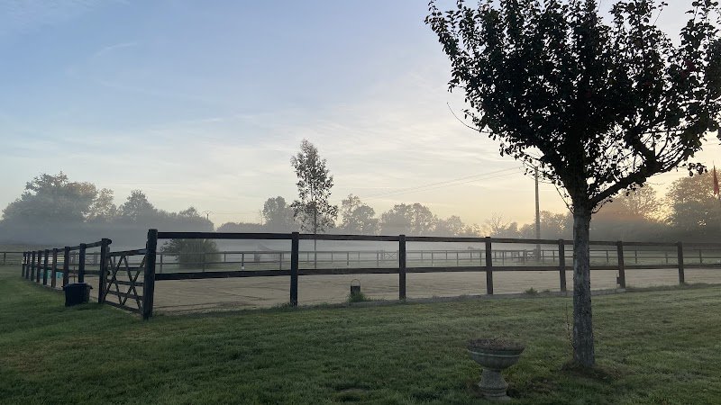 Pension Chevaux - Le Domaine de Fee - photo 3