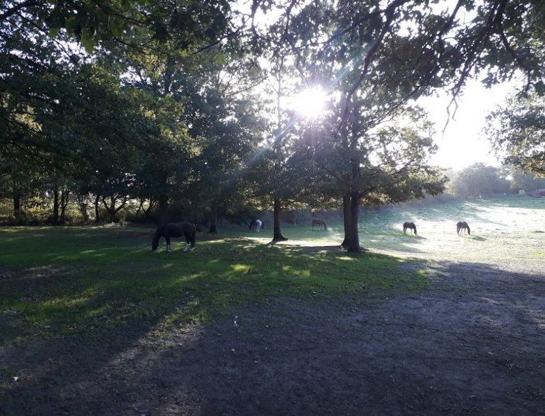 Les Écuries des fées