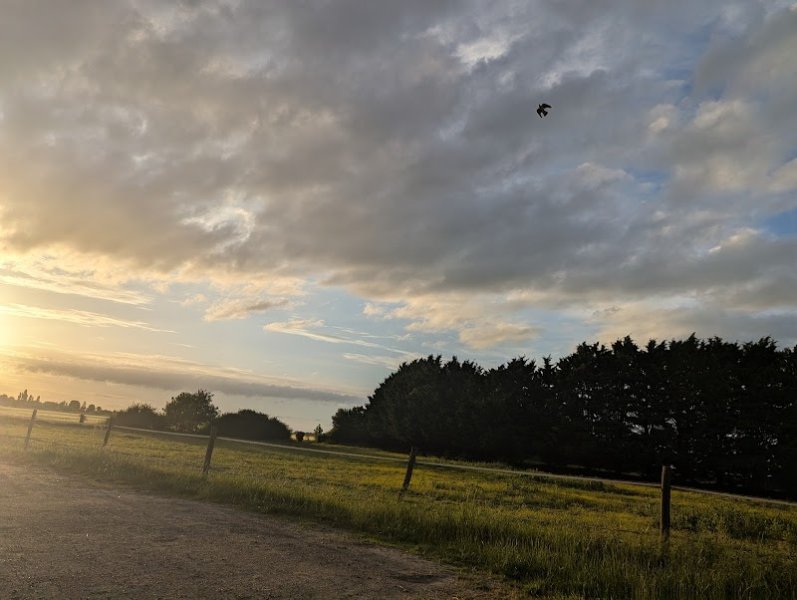 Les Écuries du Versant - photo 1