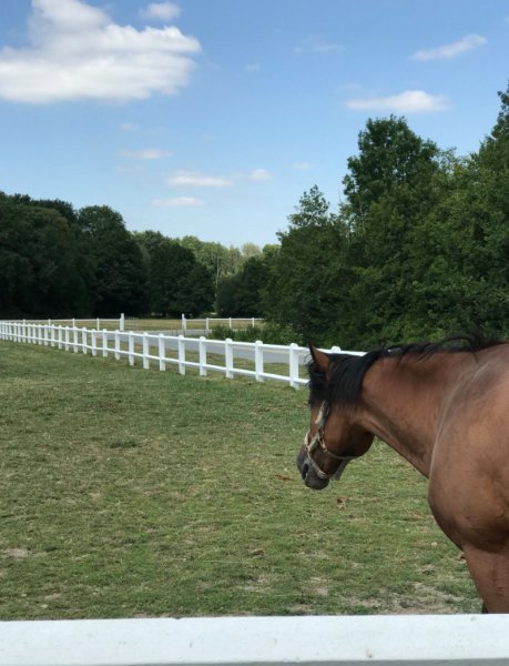 Écuries d'Hermières - photo 1