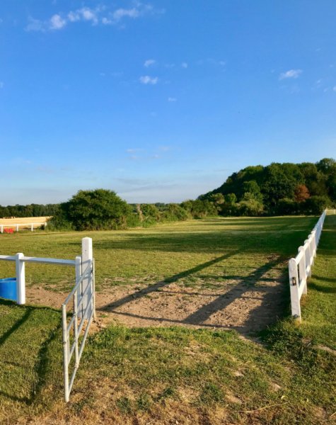Écuries d'Hermières - photo 2