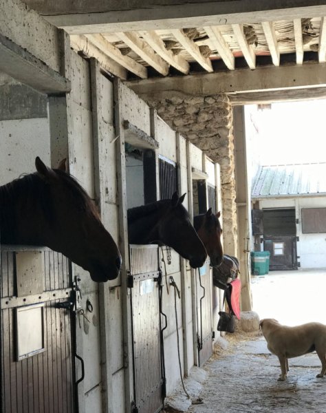 Écuries d'Hermières - photo 3