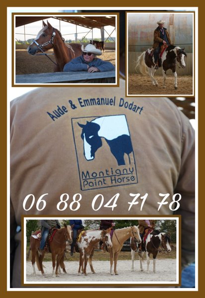 Ferme Equestre Le Petit Sault - photo 3