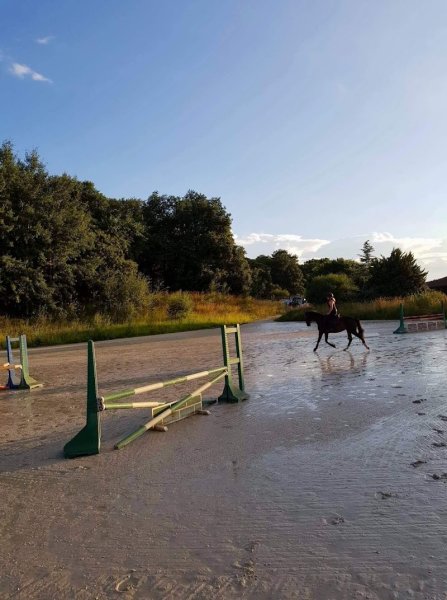 Haras de Floreval - photo 3