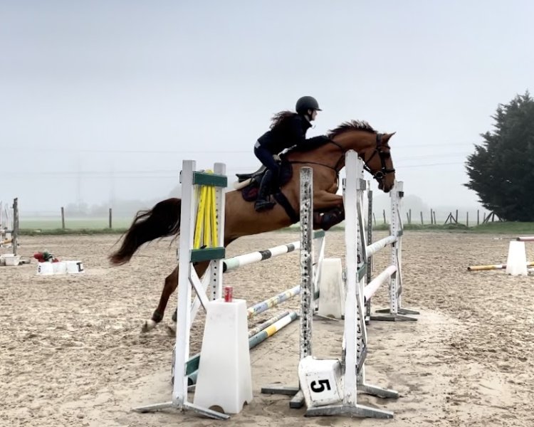 ecurie marine soule - photo 2