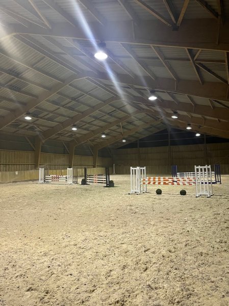 JeremyLD Sport-Horses - photo 3