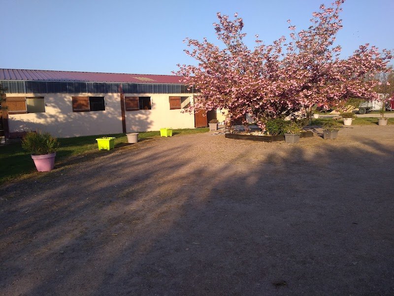 Les écuries du cerisier - photo 3