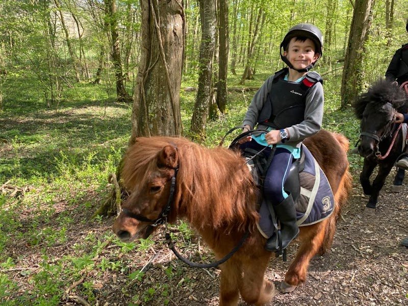 Centre Equestre et Poney Club de la Forêt de Mérey - photo 2