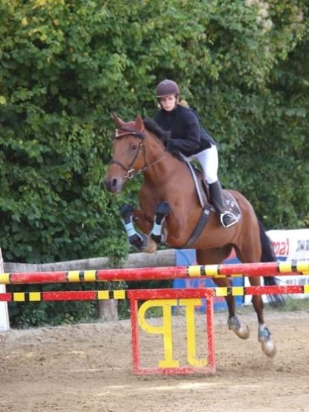 Centre Equestre et Poney Club de la Forêt de Mérey - photo 3