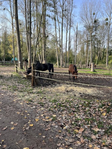 Les Ecuries Dorival - photo 1