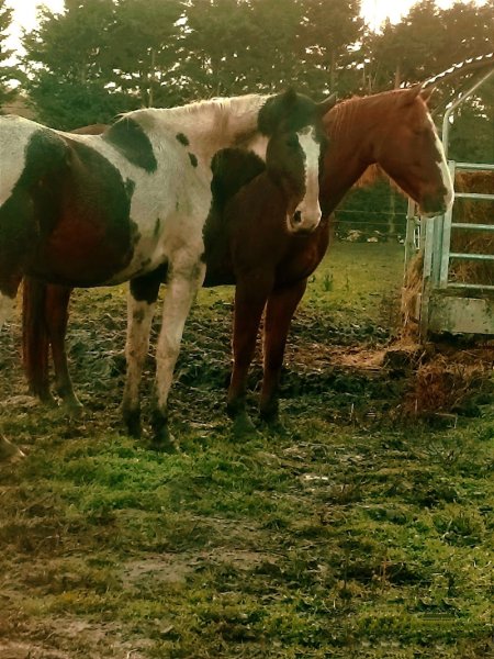 Les Ecuries de Breteuil - photo 1