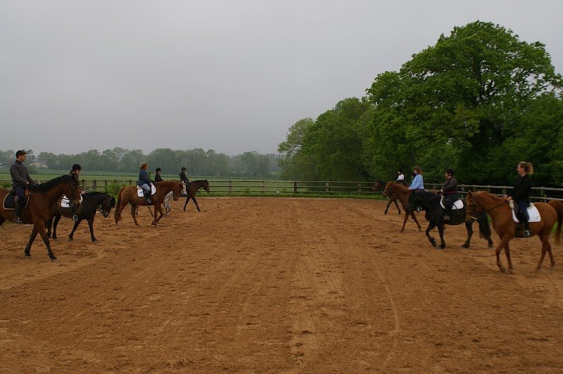Ecurie Les Grainvilleries. centre equestre, pensions pour chevaux - photo 2