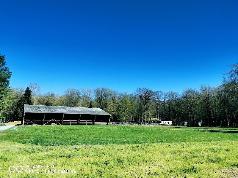 Ecurie de boissy - photo 2