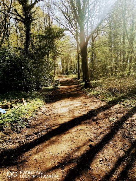 Ecurie de boissy - photo 3