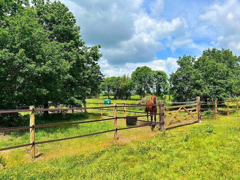 Les Pensions D’Ojulight - photo 1