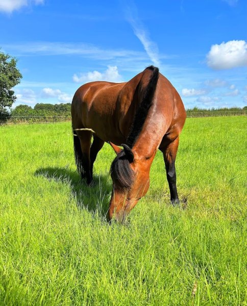 Les Pensions D’Ojulight - photo 2