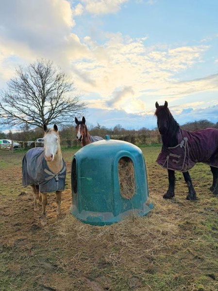 Les Pensions D’Ojulight - photo 3