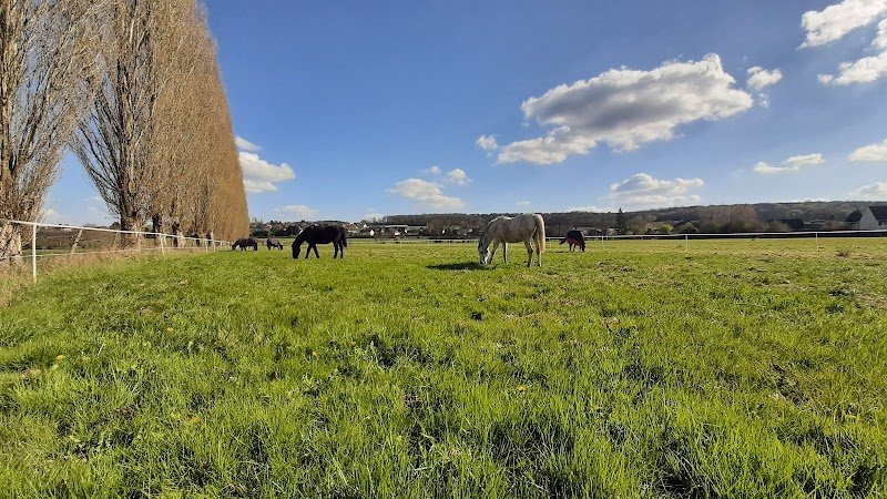 Ecurie des prés d'Arnières - photo 2