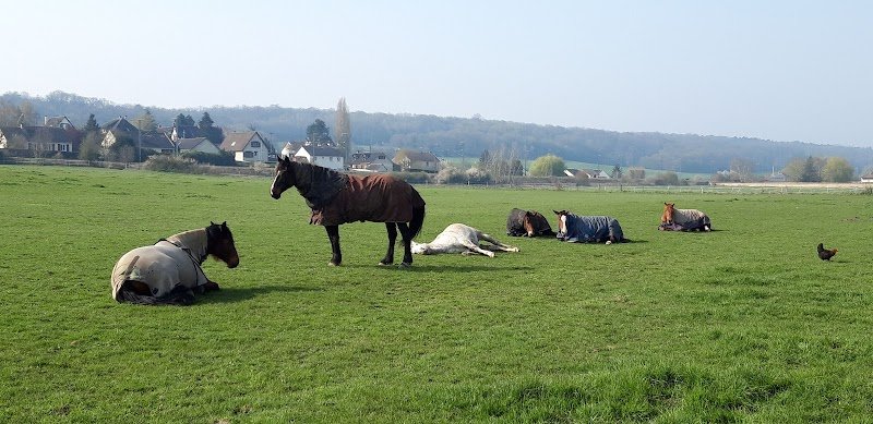 Ecurie des prés d'Arnières - photo 3