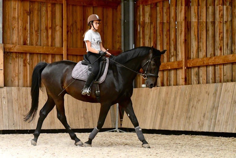 Les Ecuries d'Am - photo 2