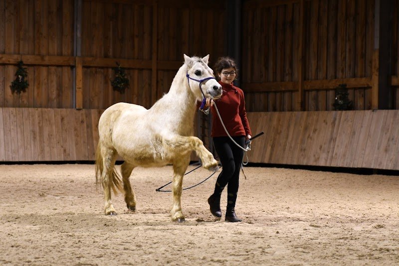 Les Ecuries d'Am - photo 3