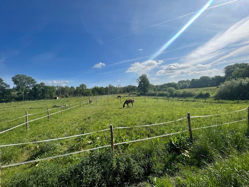 ÉCURIE CAROLINE CHADELAT - photo 1