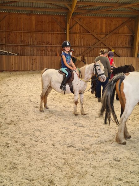 ECURIES DES PATIS - photo 1