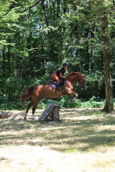 Écurie Les Poupinières - photo 3