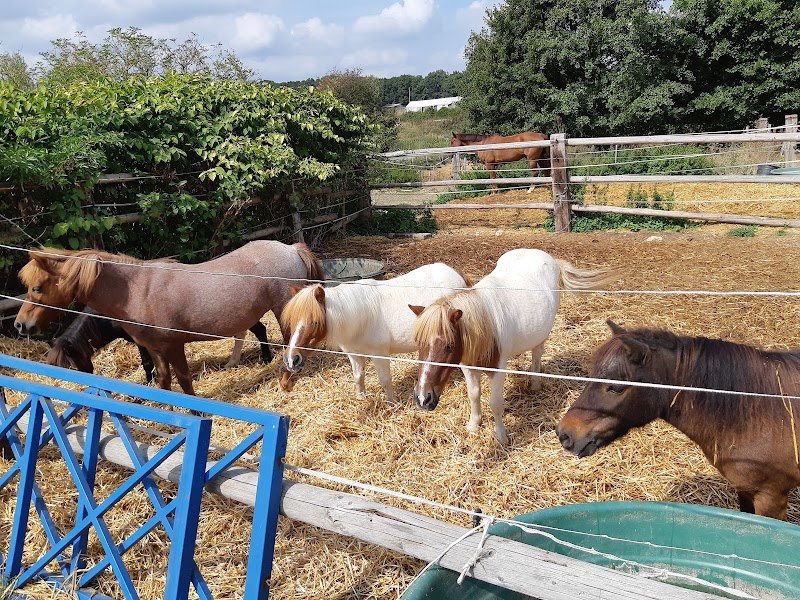 CENTRE EQUESTRE DE LONGVILLIERS - photo 2