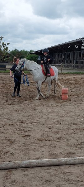 Écurie Schauly - Le Comptoir du Cavalier - photo 1
