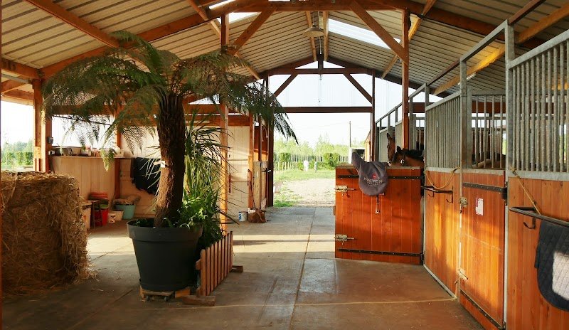 Ecurie et gîtes du Chapy - Saumur - photo 2