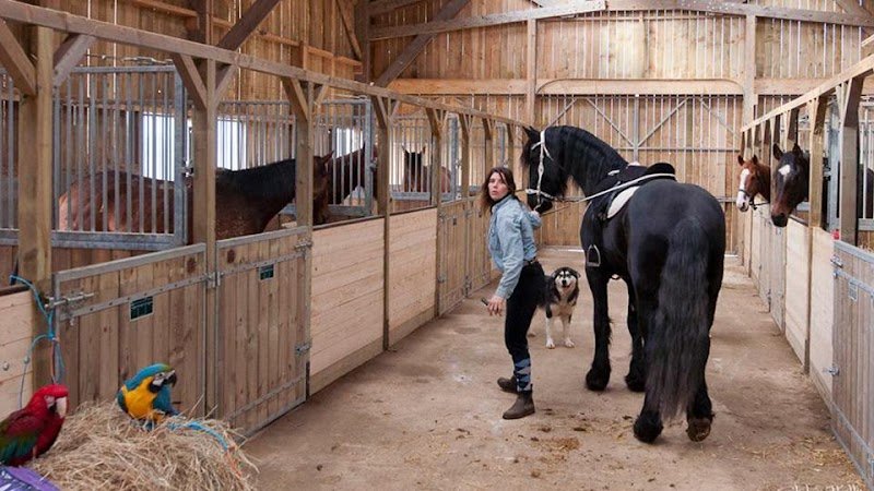 HARAS DU MOULIN - photo 1