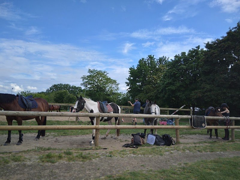 Allonnes Cheval - photo 1