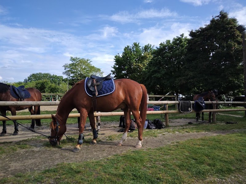 Allonnes Cheval - photo 3