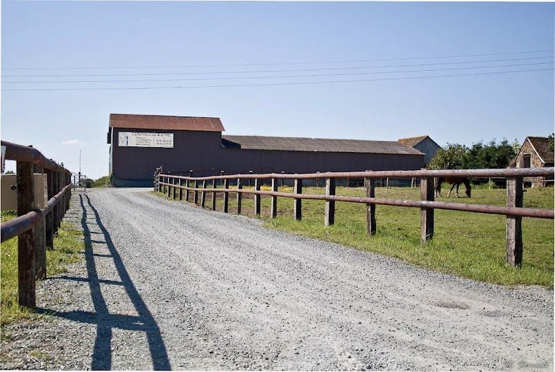 Centre équestre Vallon Juigné - photo 1
