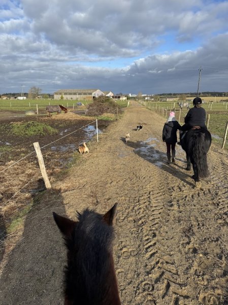 Centre équestre Vallon Juigné - photo 2