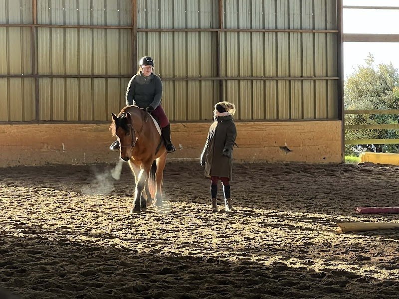 Centre équestre Vallon Juigné - photo 3