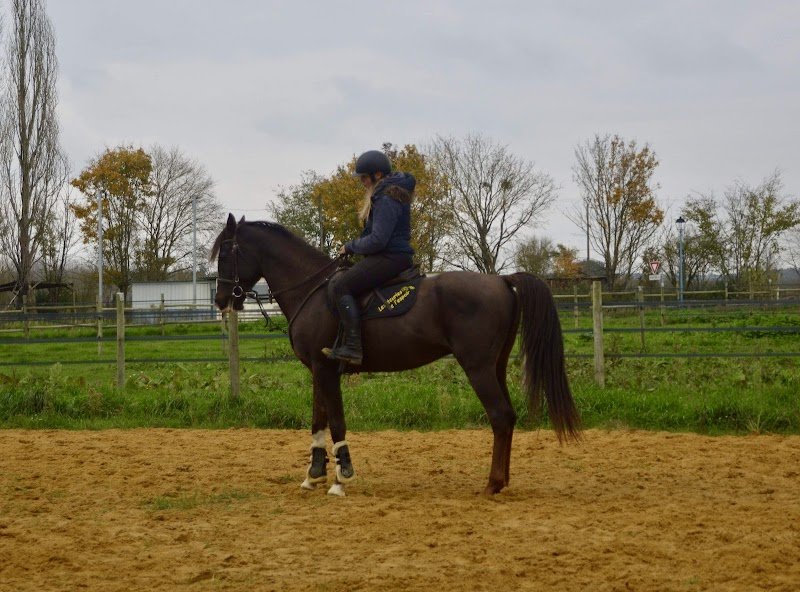 Les écuries de l'espoir