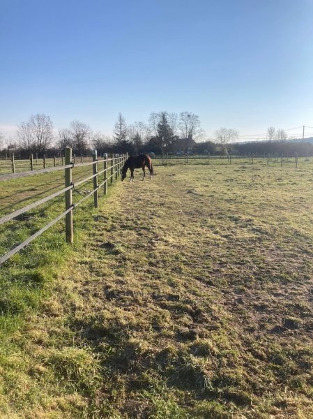 Les écuries de l'espoir - photo 2