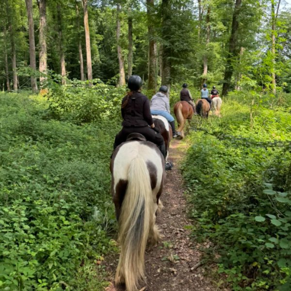 Cls Les Chevaux D Abbecourt