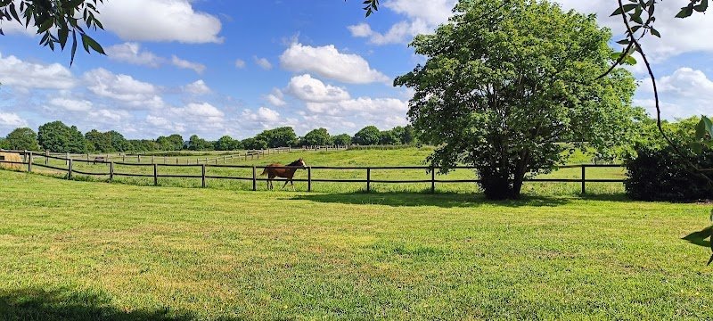 Cls Les Chevaux D Abbecourt - photo 2