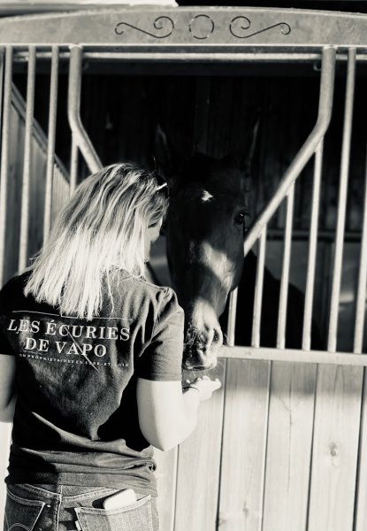 Les écuries de vapo - photo 3