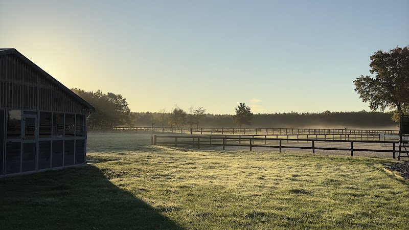 Ecurie Walter Lapertot - Ecole d'équitation WL - photo 2