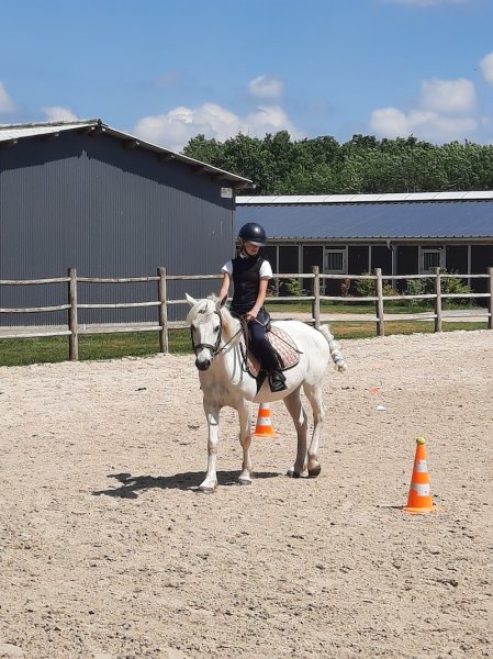 Ecurie Walter Lapertot - Ecole d'équitation WL - photo 3