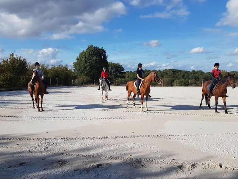 Ecuries du Cormier Centre équestre Elevage
