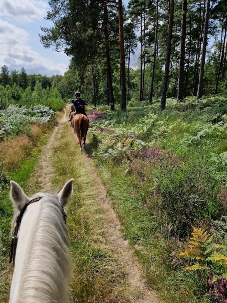 Les Écuries de la Vignerie - photo 2