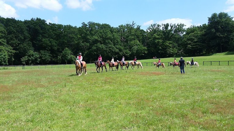 Les Écuries de la Vignerie - photo 3