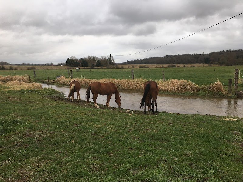 Haras de Neuvillette - Pension chevaux - photo 3